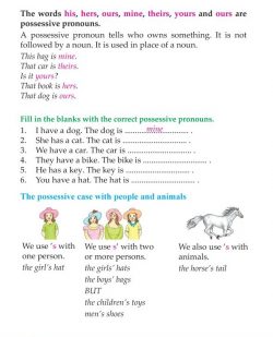 3rd Grade Grammar Possessives (3).jpg